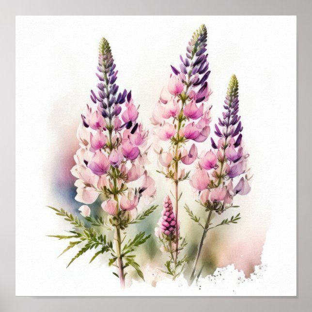 Poster d'impression d'art rose Lupine (Devant)