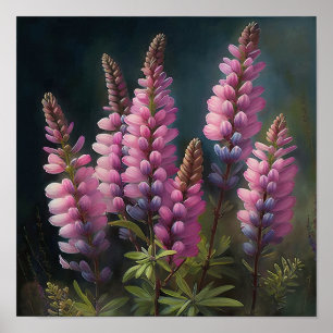 Poster d'impression d'art rose Lupine