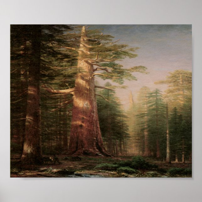 Poster d'impression de Big Pine Tree Art Vintage (Devant)