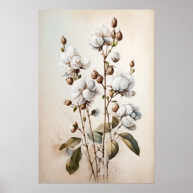 Poster d'impression de l'Art blanc Fleurs de coton (Devant)