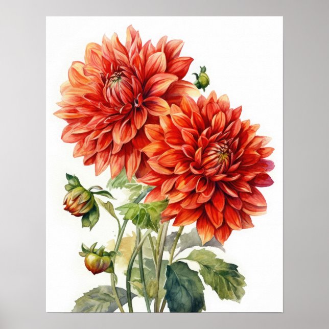 Poster d'impression de l'art Dahlia Rouge (Devant)