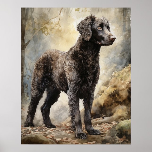 Poster d'impression de l'art de chien Retriever re (Devant)