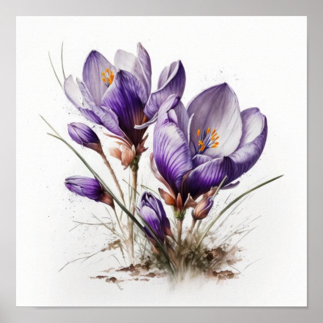 Poster d'impression de l'art de fleurs de crocus v (Devant)