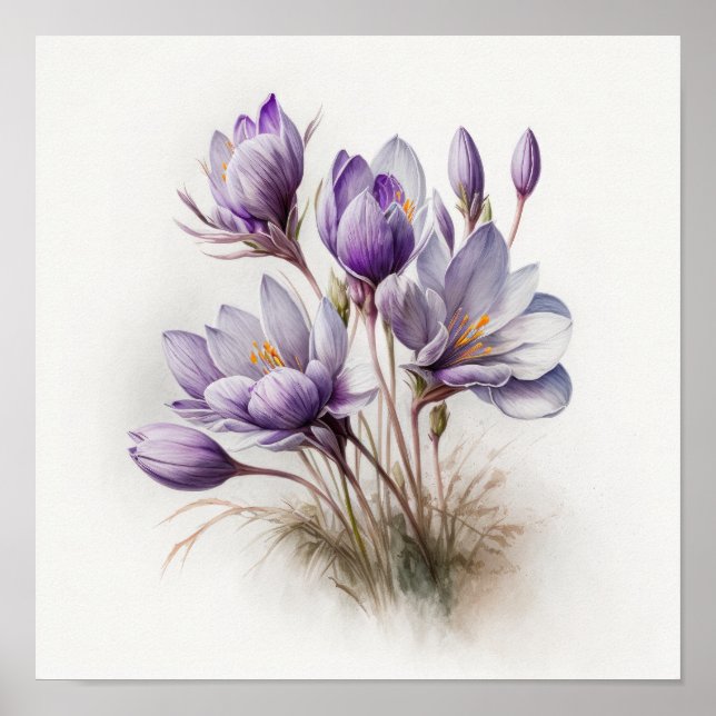 Poster d'impression de l'art de fleurs de crocus v (Devant)
