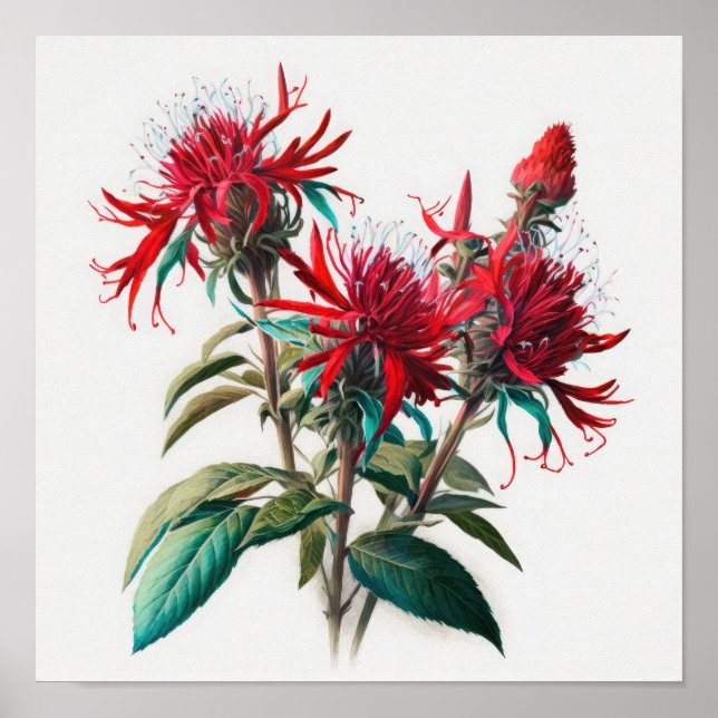 Poster d'impression de l'art de la fleur d'abeille (Devant)