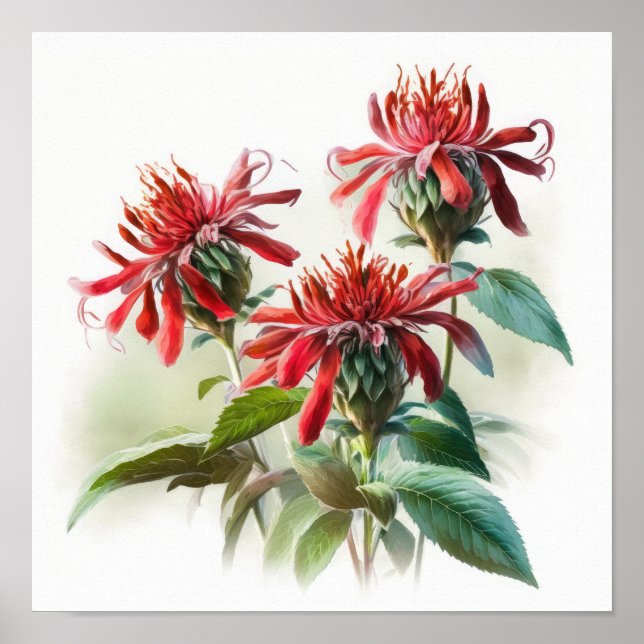 Poster d'impression de l'art de la fleur d'abeille (Devant)