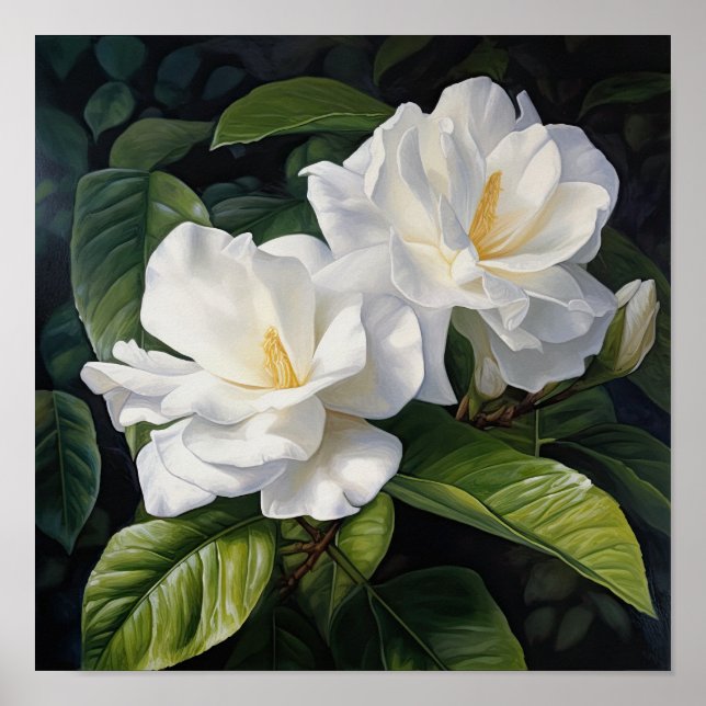 Poster d'impression de l'art de la Gardenia blanch (Devant)