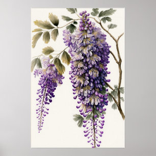 Poster d'impression de l'art de la glycine violett