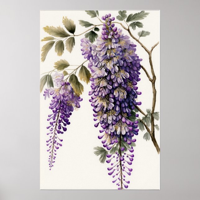 Poster d'impression de l'art de la glycine violett (Devant)