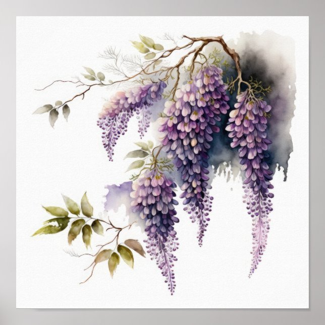 Poster d'impression de l'art de la glycine violett (Devant)