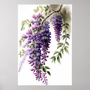 Poster d'impression de l'art de la glycine violett