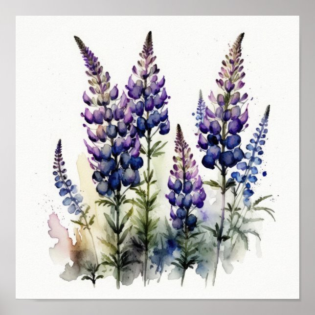 Poster d'impression de l'art de la lupine violette (Devant)