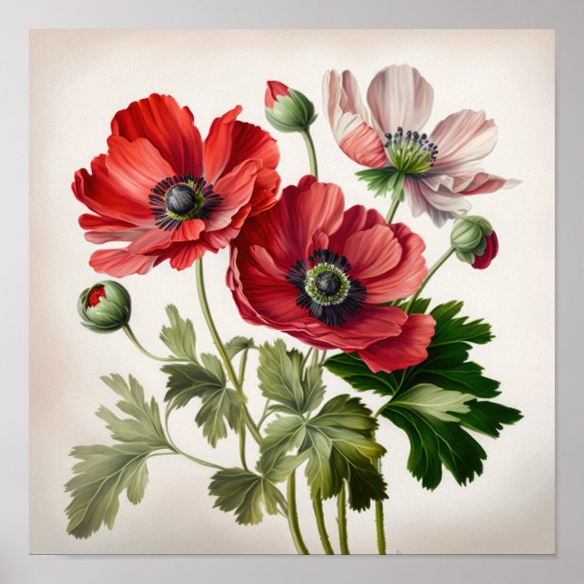 Poster d'impression de l'art des fleurs d'anémones (Devant)