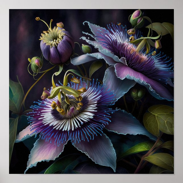 Poster d'impression de l'art des fleurs de mauve-p (Devant)