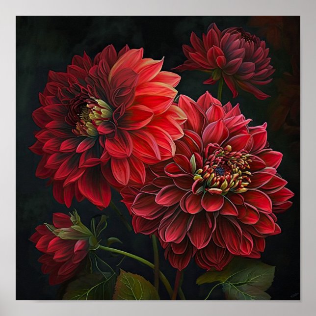 Poster d'impression de l'art des fleurs Red Dahlia (Devant)