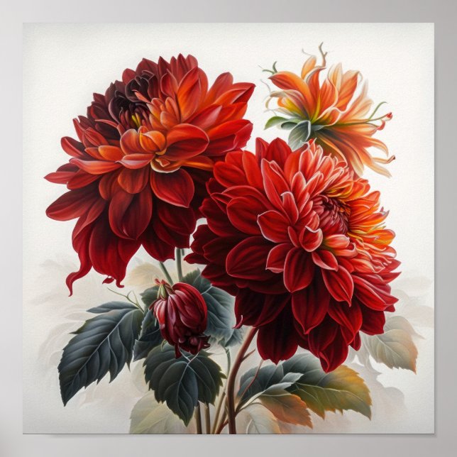 Poster d'impression de l'art des fleurs Red Dahlia (Devant)