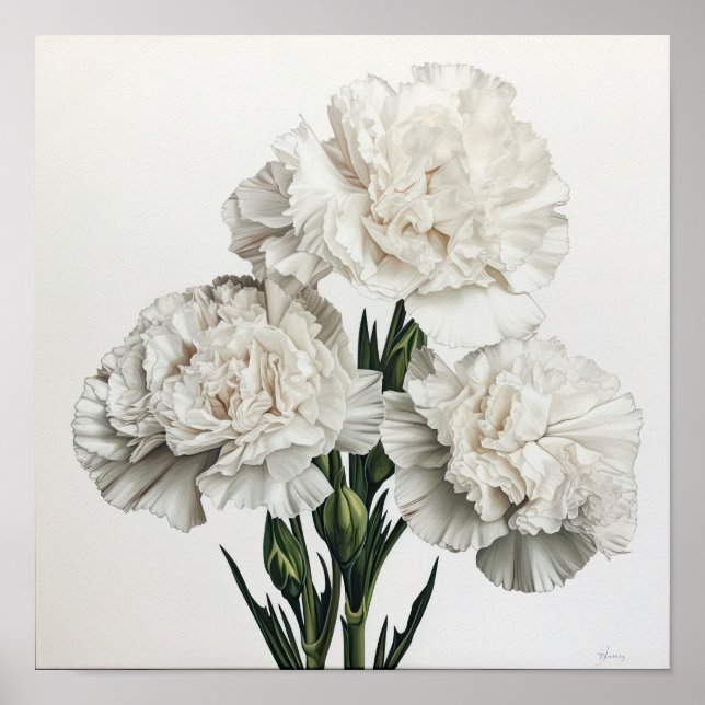 Poster d'impression de l'art des oeillets blancs (Devant)
