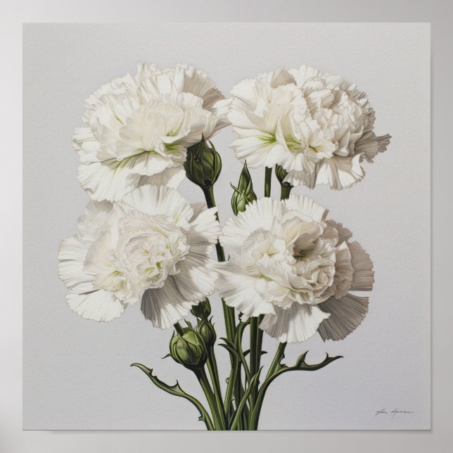 Poster d'impression de l'art des oeillets blancs (Devant)