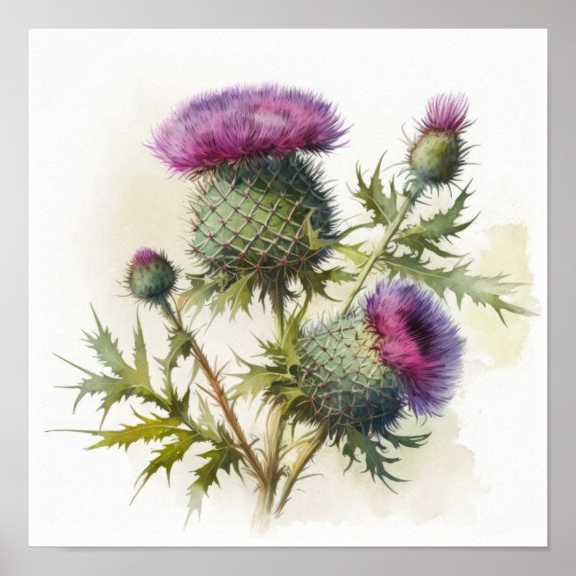 Poster d'impression de l'art du chardon violet (Devant)
