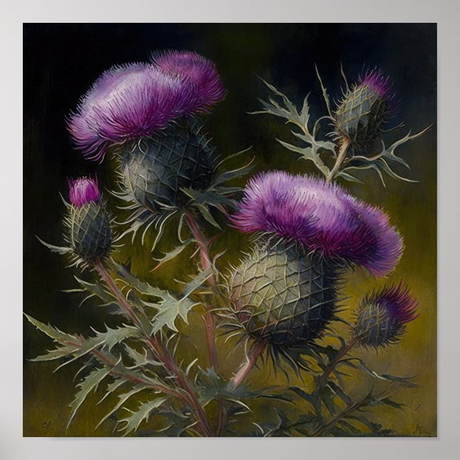 Poster d'impression de l'art du chardon violet (Devant)
