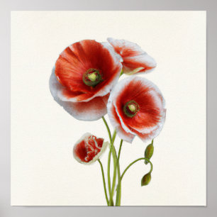 Poster d'impression de l'art du pavot rouge