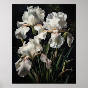 Poster d'impression de l'art en Iris blanc