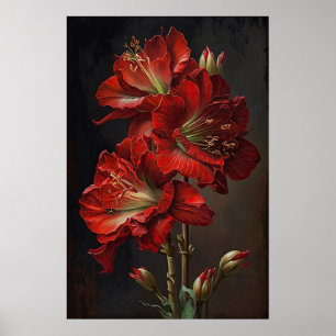 Poster d'impression de l'Art Fleur Rouge Amaryllis