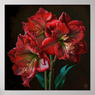 Poster d'impression de l'Art Fleur Rouge Amaryllis
