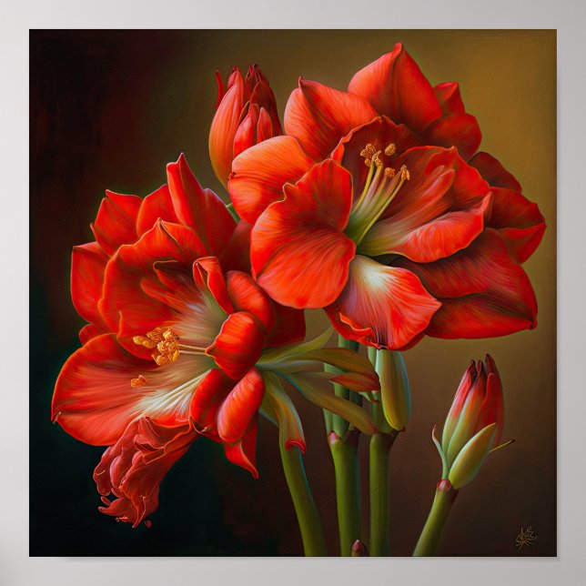 Poster d'impression de l'Art Fleur Rouge Amaryllis (Devant)