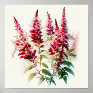 Poster d'impression de l'Art Fleur Rouge Astilbe