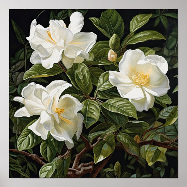 Poster d'impression de l'Art Fleuri Gardenias Blan (Devant)