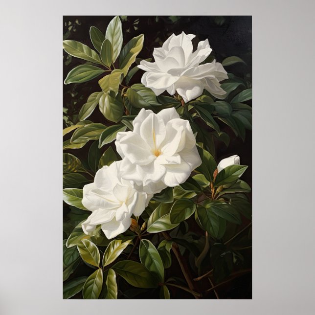 Poster d'impression de l'Art Fleuri Gardenias Blan (Devant)
