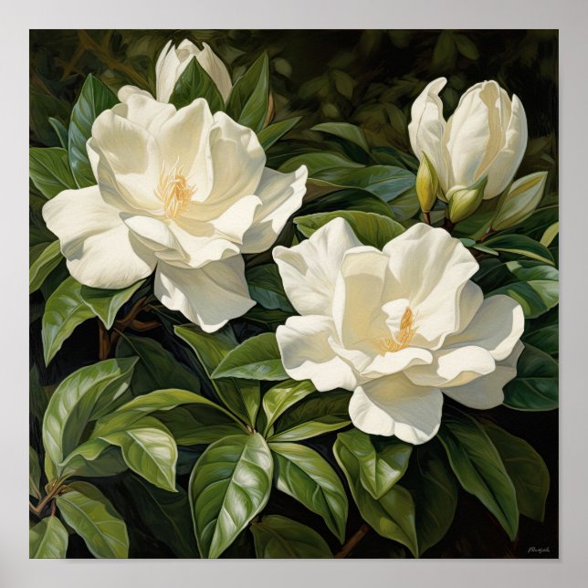Poster d'impression de l'Art Fleuri Gardenias Blan (Devant)