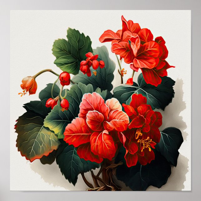 Poster d'impression de l'Art Fleuri Red Begonias (Devant)