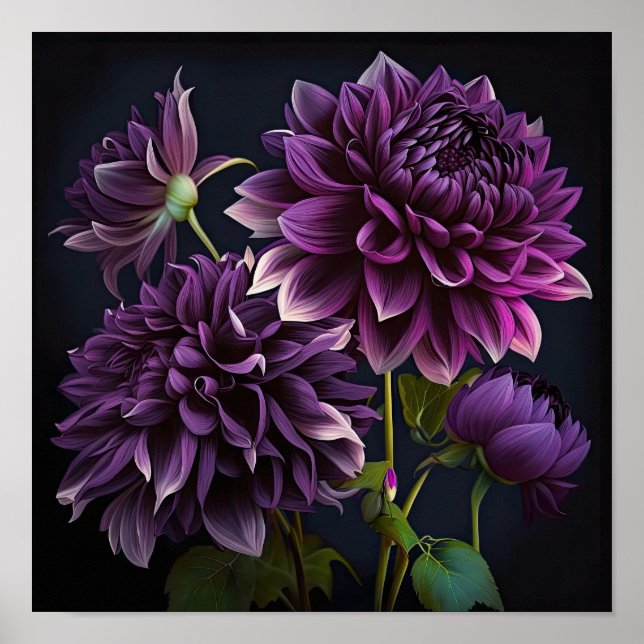Poster d'impression de l'art floral Dahlias violet (Devant)