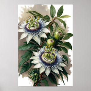 Poster d'impression de l'art floral de la passion 