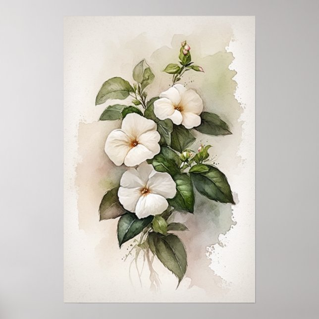 Poster d'impression de l'art floral Impatiens blan (Devant)