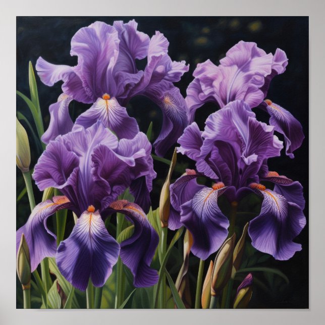 Poster d'impression de l'art floral Irises violet (Devant)