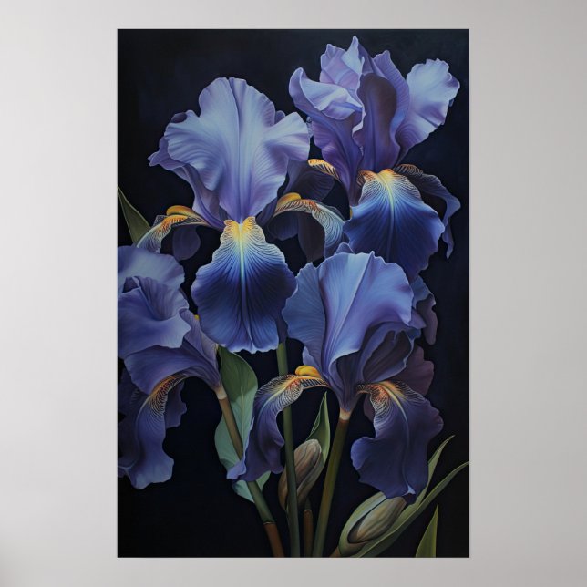 Poster d'impression de l'art floral Irises violet (Devant)