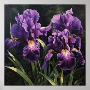 Poster d'impression de l'art floral Irises violet