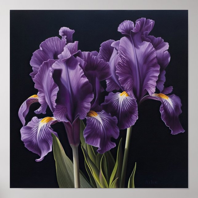 Poster d'impression de l'art floral Irises violet (Devant)