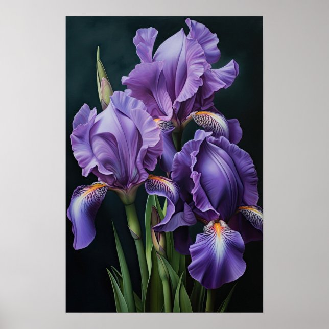 Poster d'impression de l'art floral Irises violet (Devant)