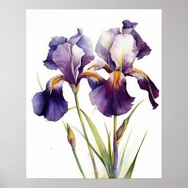 Poster d'impression de l'art Iris violet (Devant)