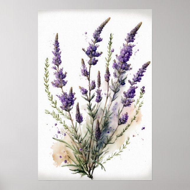 Poster d'impression de l'art Lavender Flower (Devant)