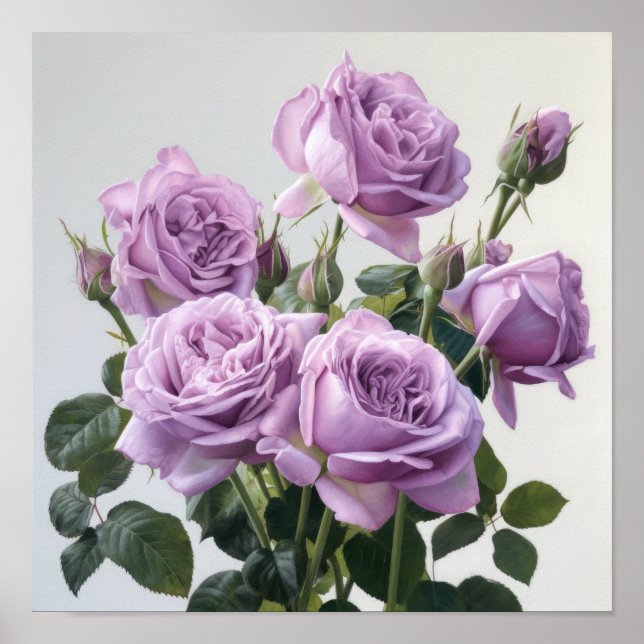 Poster d'impression de lavande Rose (Devant)