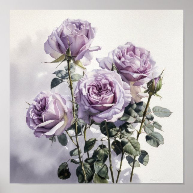 Poster d'impression de lavande Rose (Devant)