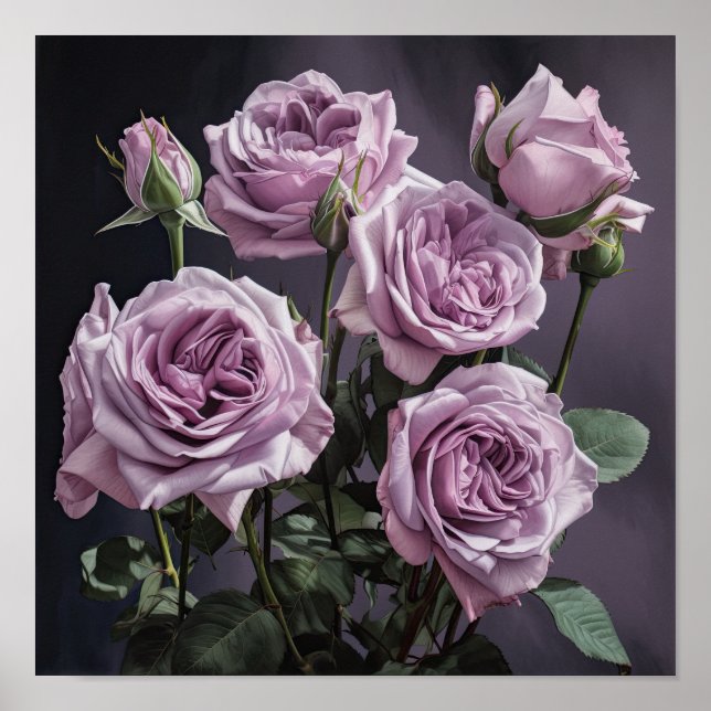 Poster d'impression de lavande Rose (Devant)