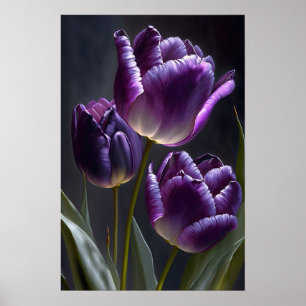 Poster d'impression de papier Tulipes violettes
