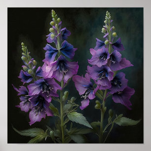 Poster d'impression de violet Delphinium