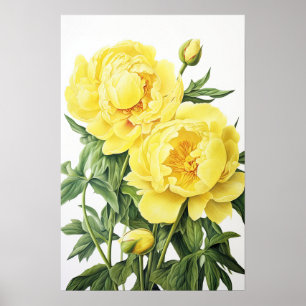 Poster d'impression des peonies jaunes